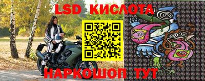 прущие грибы Туймазы