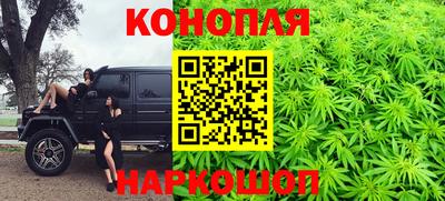 прущие грибы Туймазы
