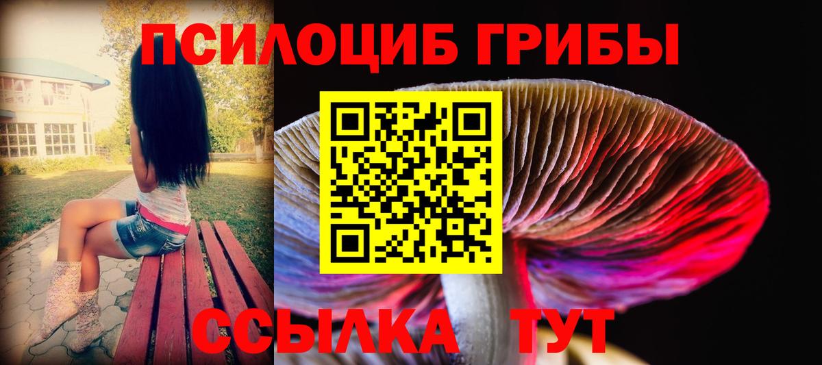 Псилоцибиновые грибы мицелий Братск